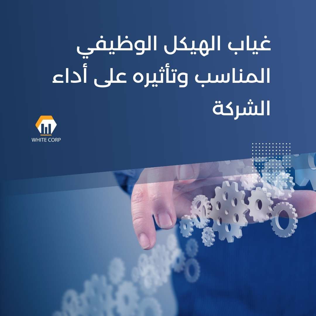 غياب الهيكل الوظيفي المناسب وتأثيره على أداء الشركة